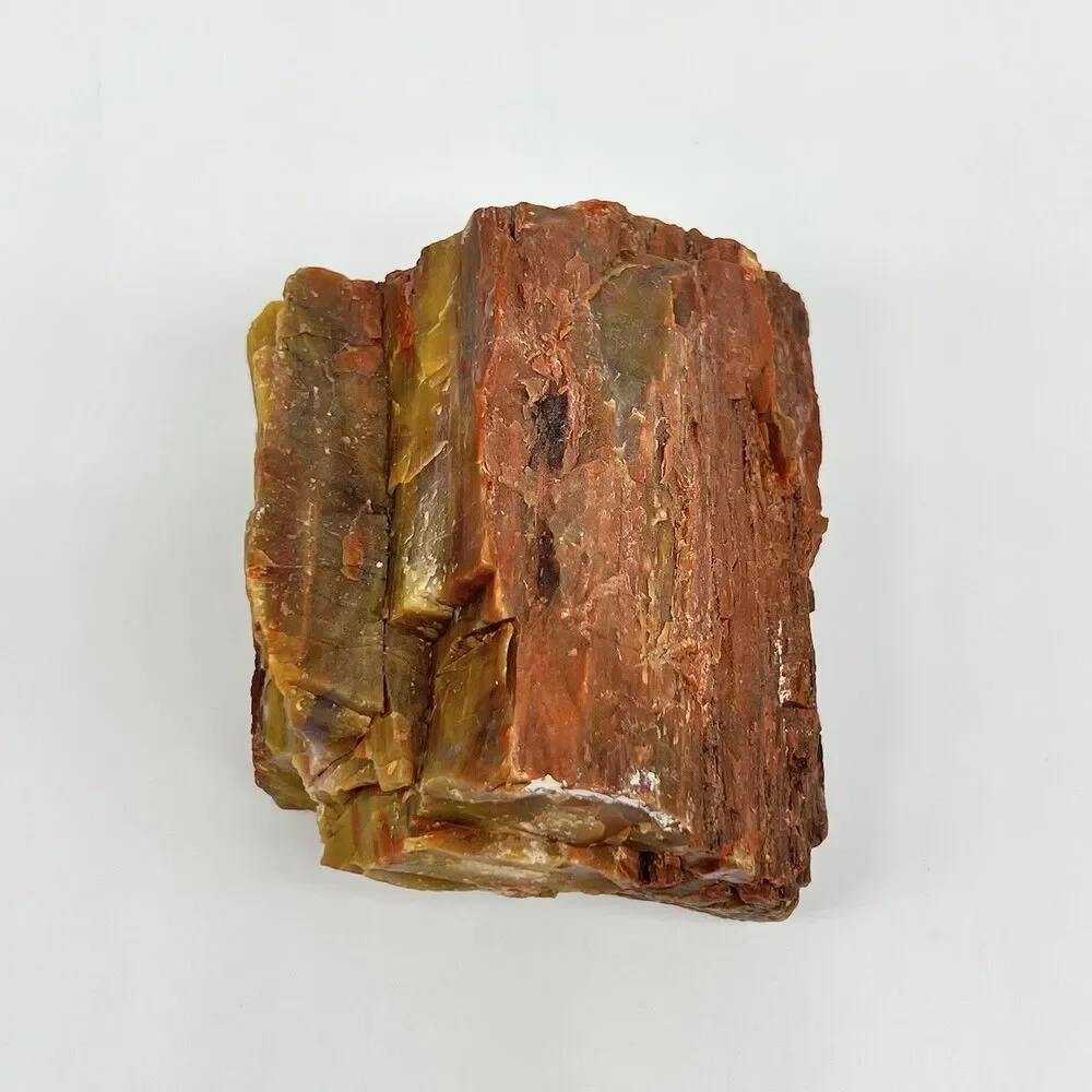 Arizona Rainbow Petrified Wood Specimen Agatized Fossil Rock 1.7lb Red Brown VTG